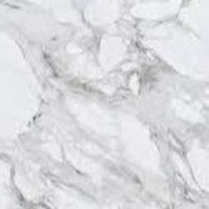 Meet your Posher, Ashlyn